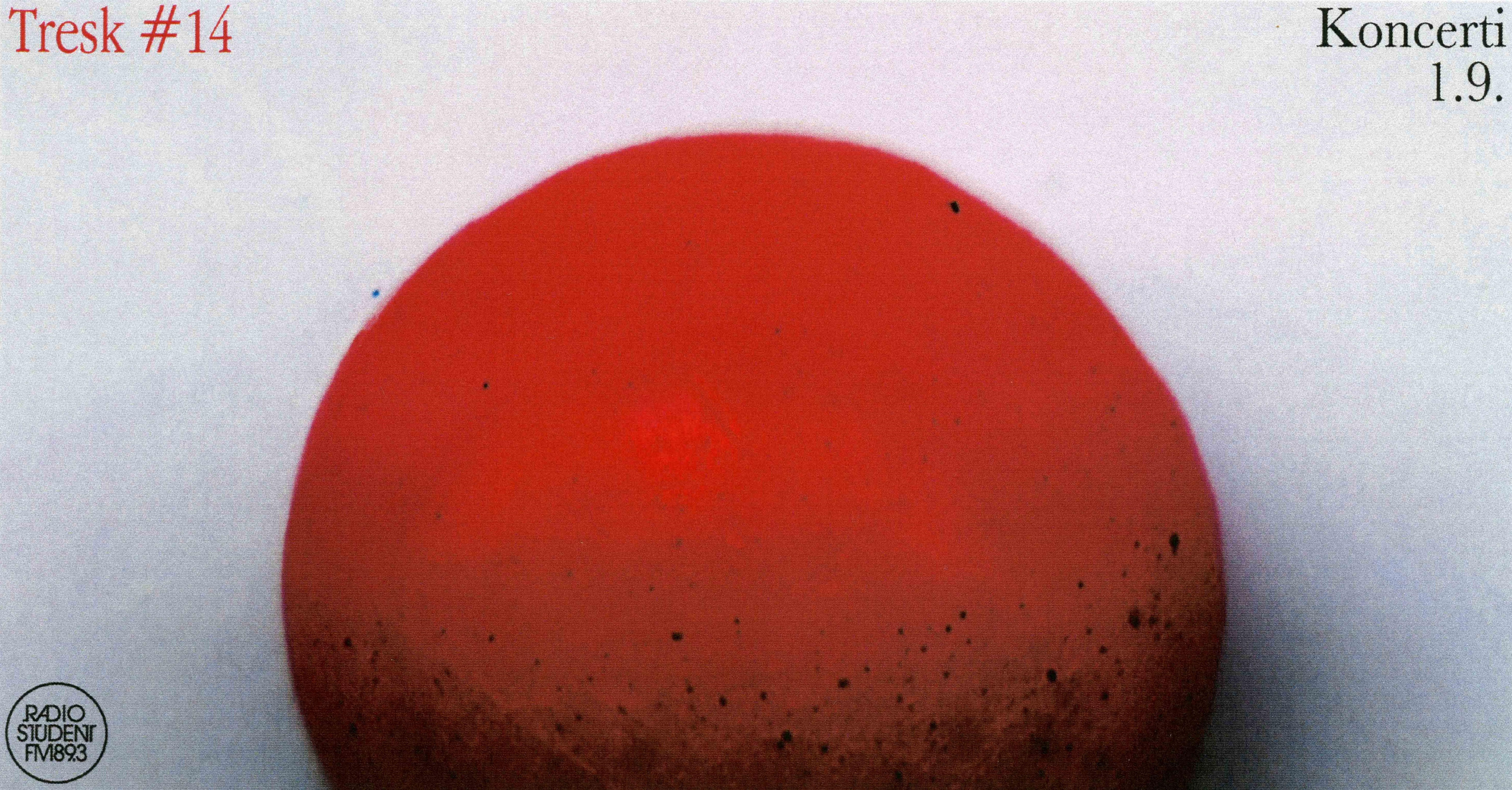 koncerti cover